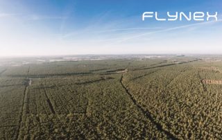 Luftaufnahme Drohne Foto Wald