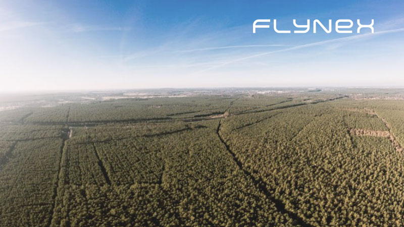 Luftaufnahme Drohne Foto Wald