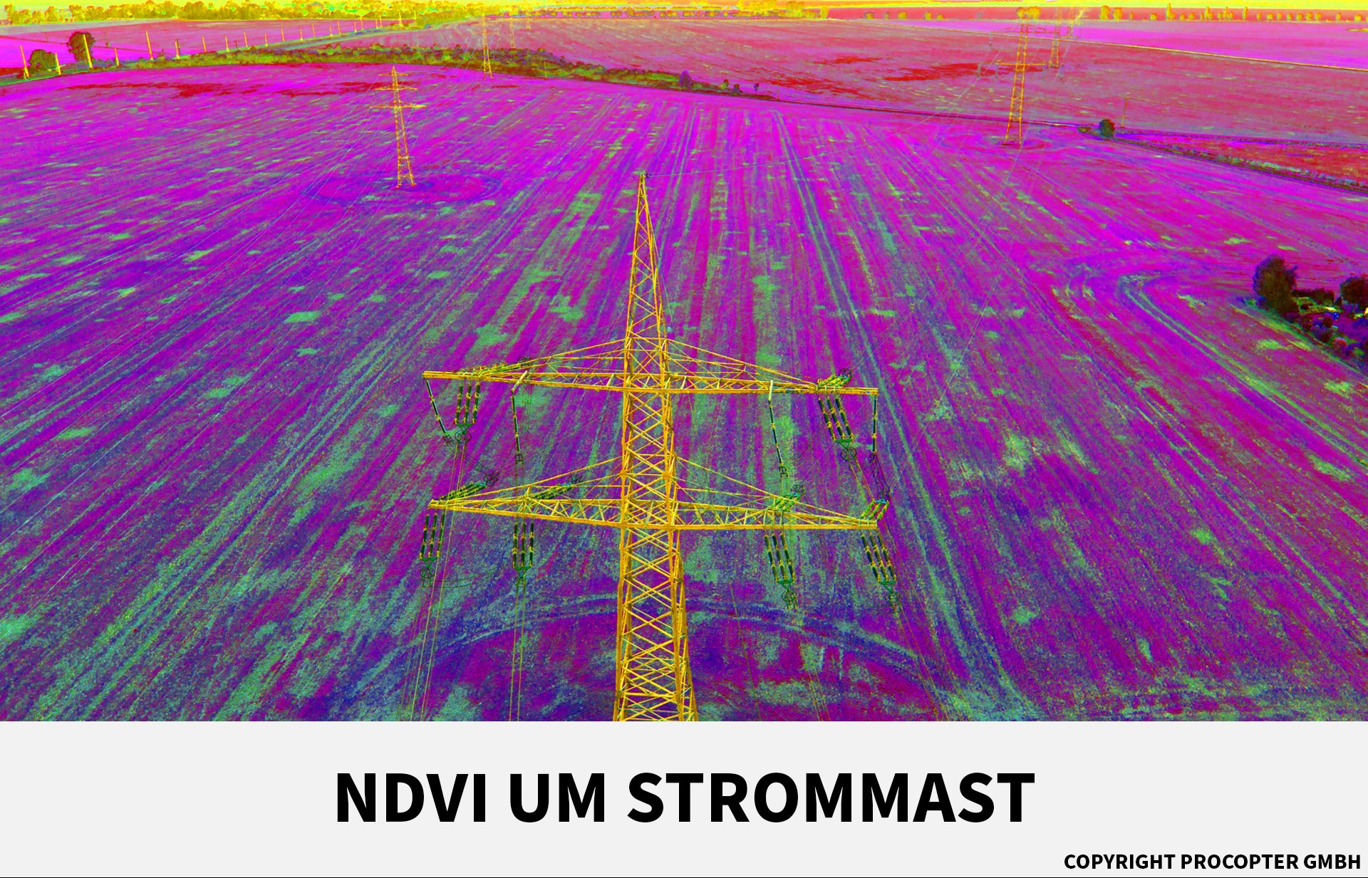 NDVI um Strommast