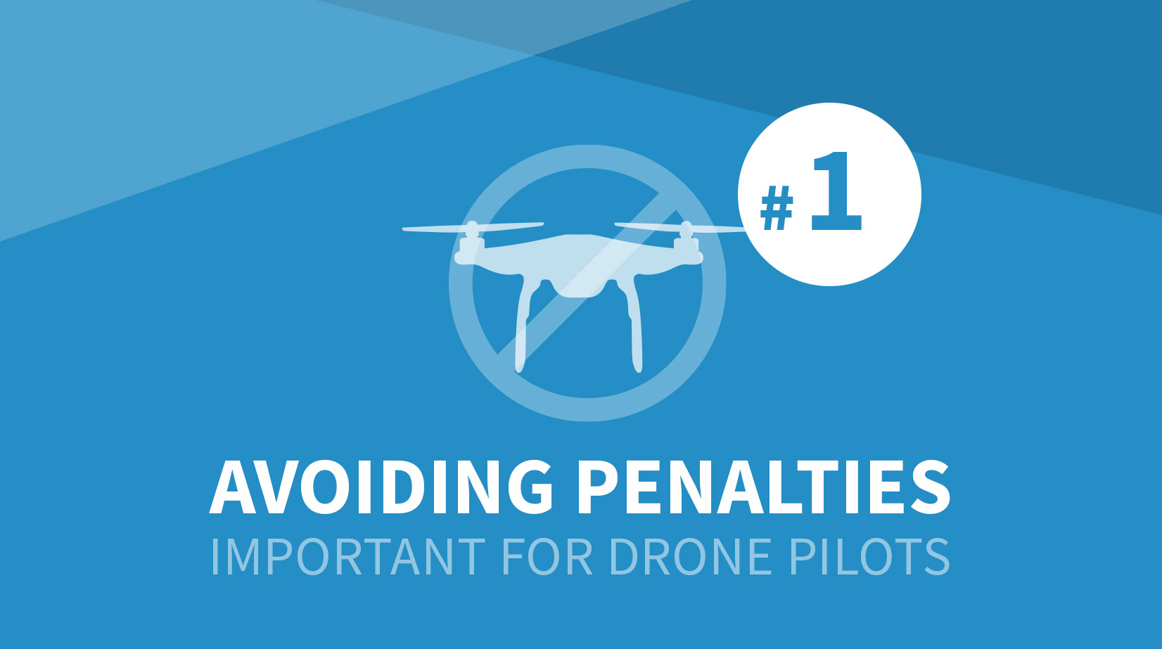 Avoiding Penalties for Drone Pilots