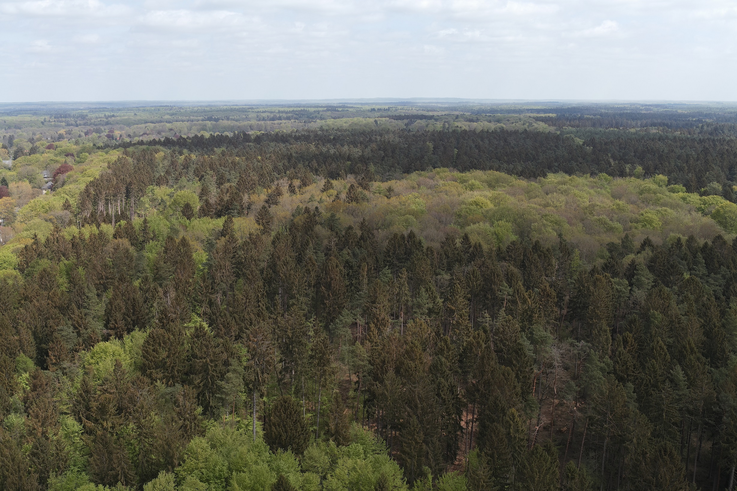 Luftbilder und KI gegen Sachsenwald Sturmschäden