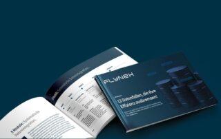 Whitepaper: 12 Datenfallen, die Ihre Effizienz ausbremsen