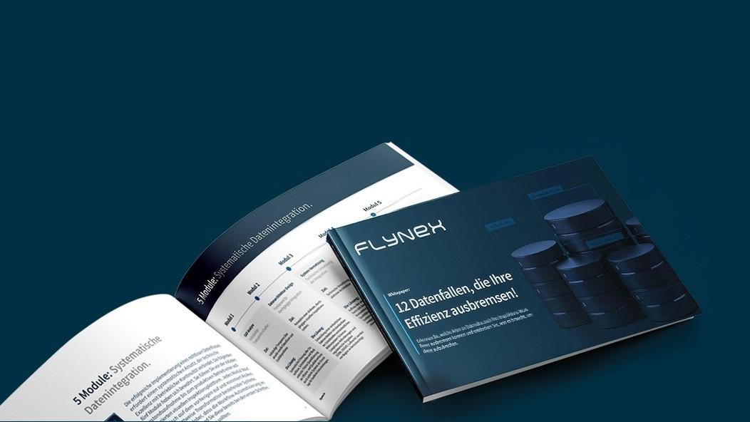 Whitepaper: 12 Datenfallen, die Ihre Effizienz ausbremsen