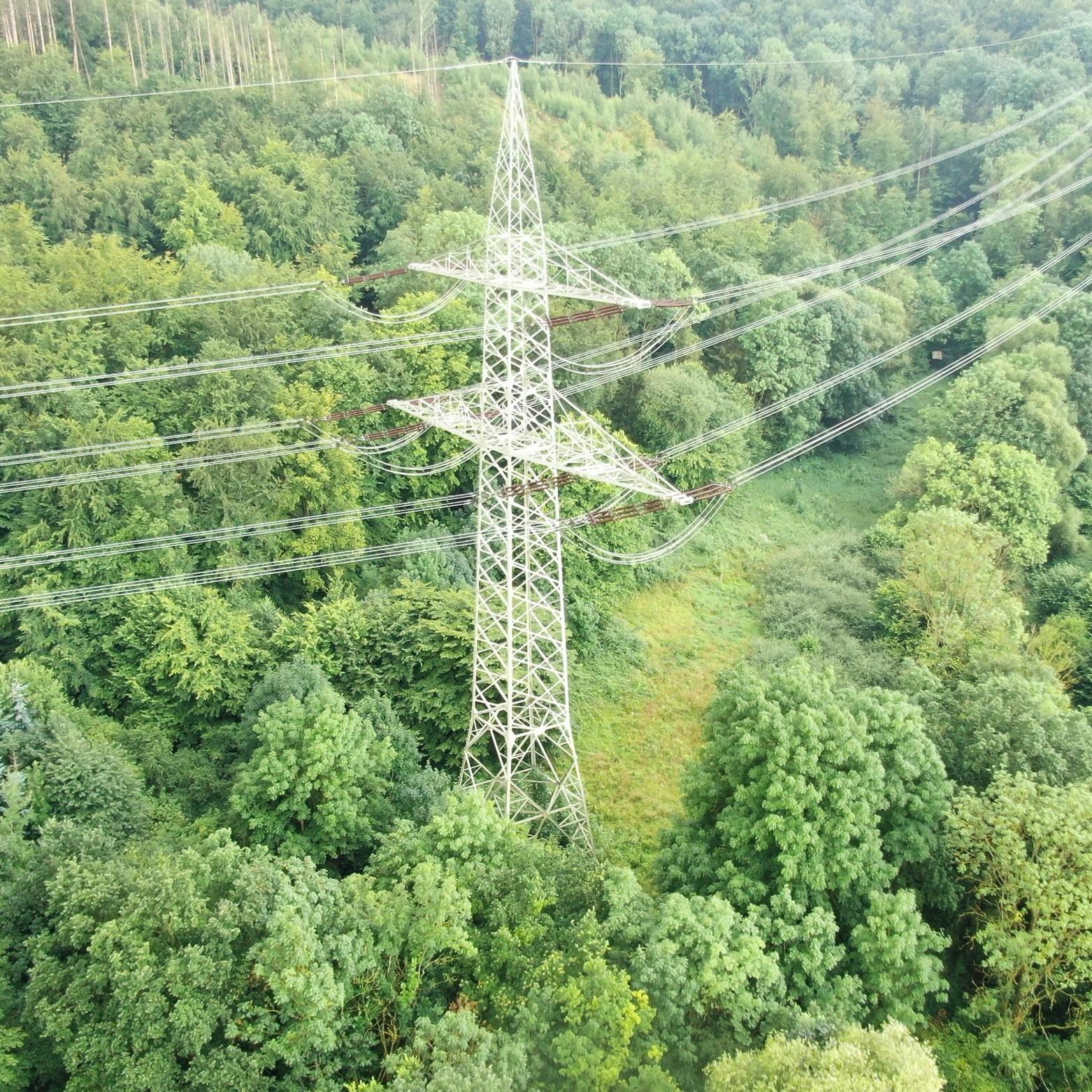 Teilaufnahme der 60 Kilometer Stromtrasse, die alle zwei Tage per Drohne auf Vogelnester geprüft wird