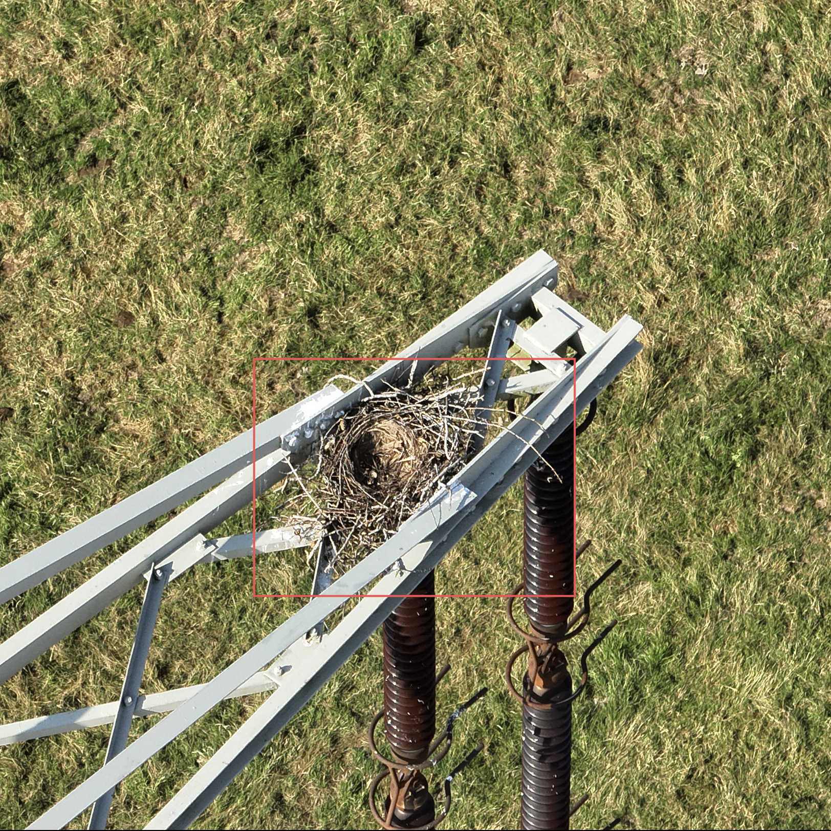 Die FlyNex Vision AI wurde individuell mit Projektdaten trainiert, um potenzielle Neststandorte in Echtzeit zu identifizieren.